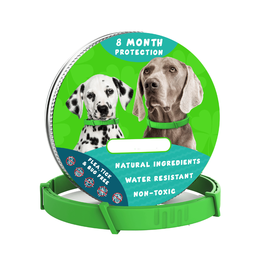 8 Months Flea and Tick Free
