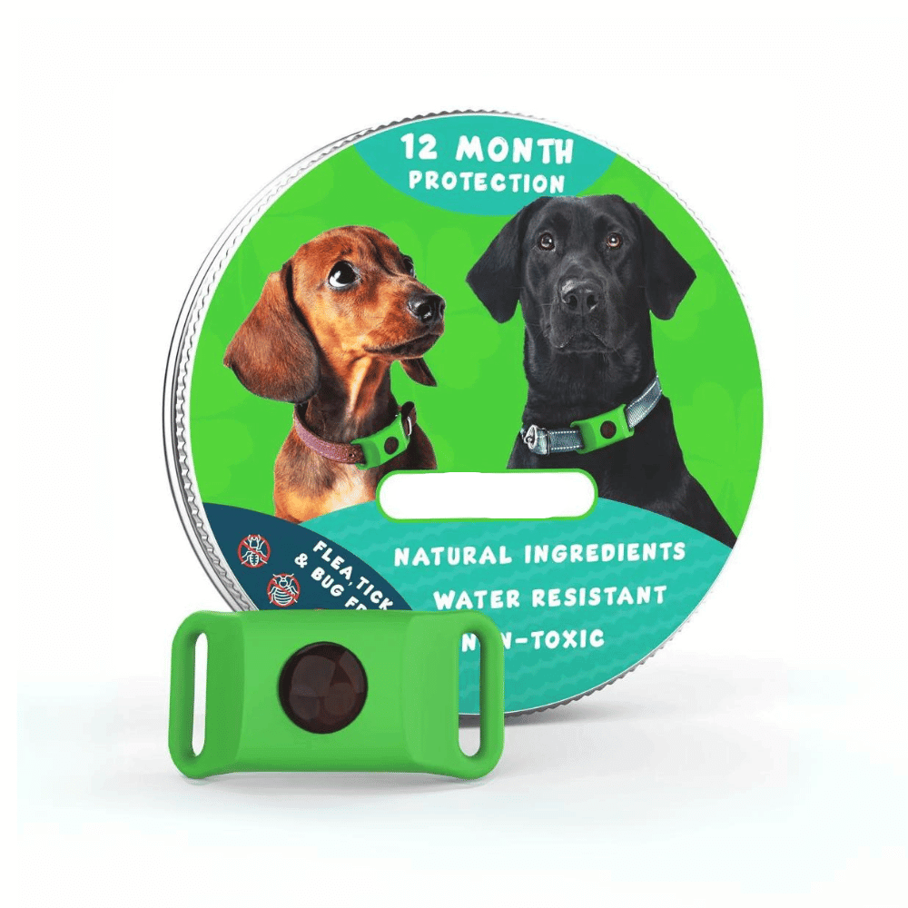 12 Months All Natural Flea and Tick Tags for Dogs