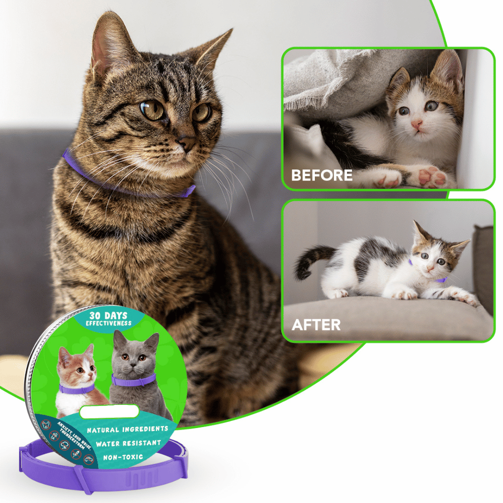 Natural Pheromone Calming Collar