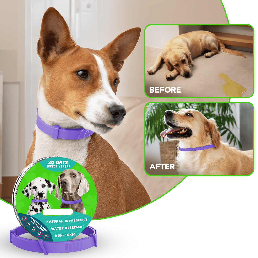 Natural Pheromone Calming Collar