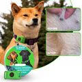 12 Months All Natural Flea and Tick Tags for Dogs