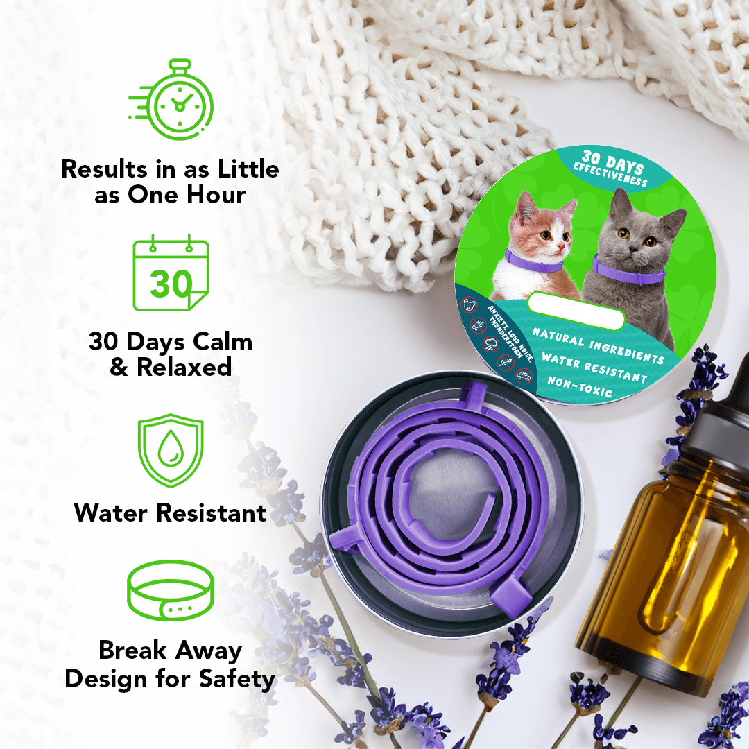 Natural Pheromone Calming Collar for Cats