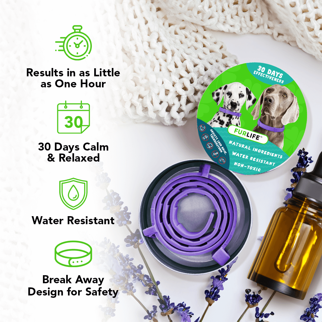 Natural Pheromone Calming Collar for Dogs