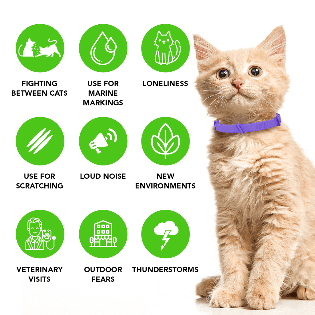 Natural Pheromone Calming Collar