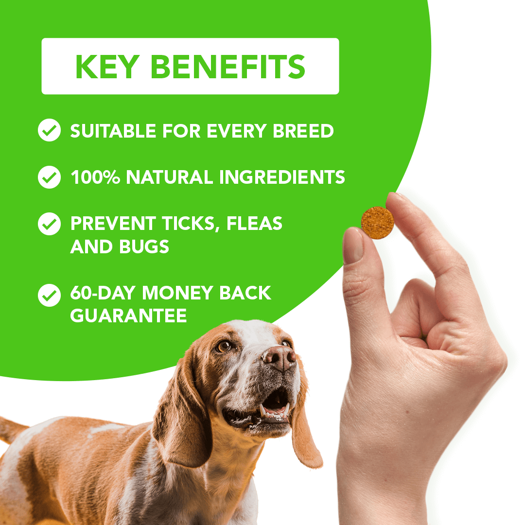 All Natural Flea & Tick Defense Chews for Dogs