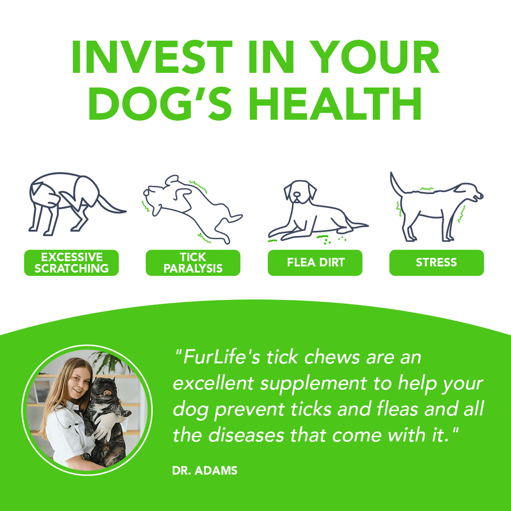 All Natural Flea & Tick Defense Chews for Dogs