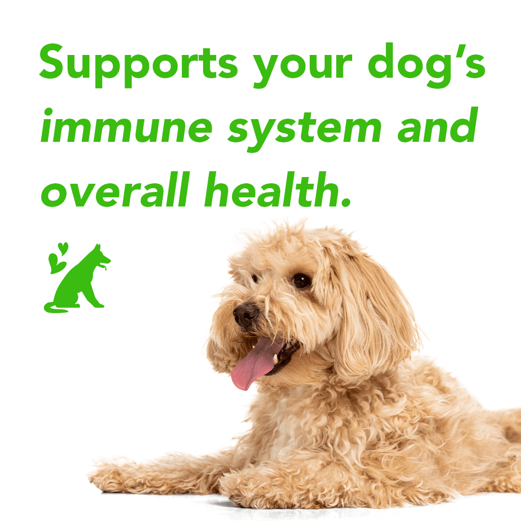 All Natural Flea & Tick Defense Chews for Dogs