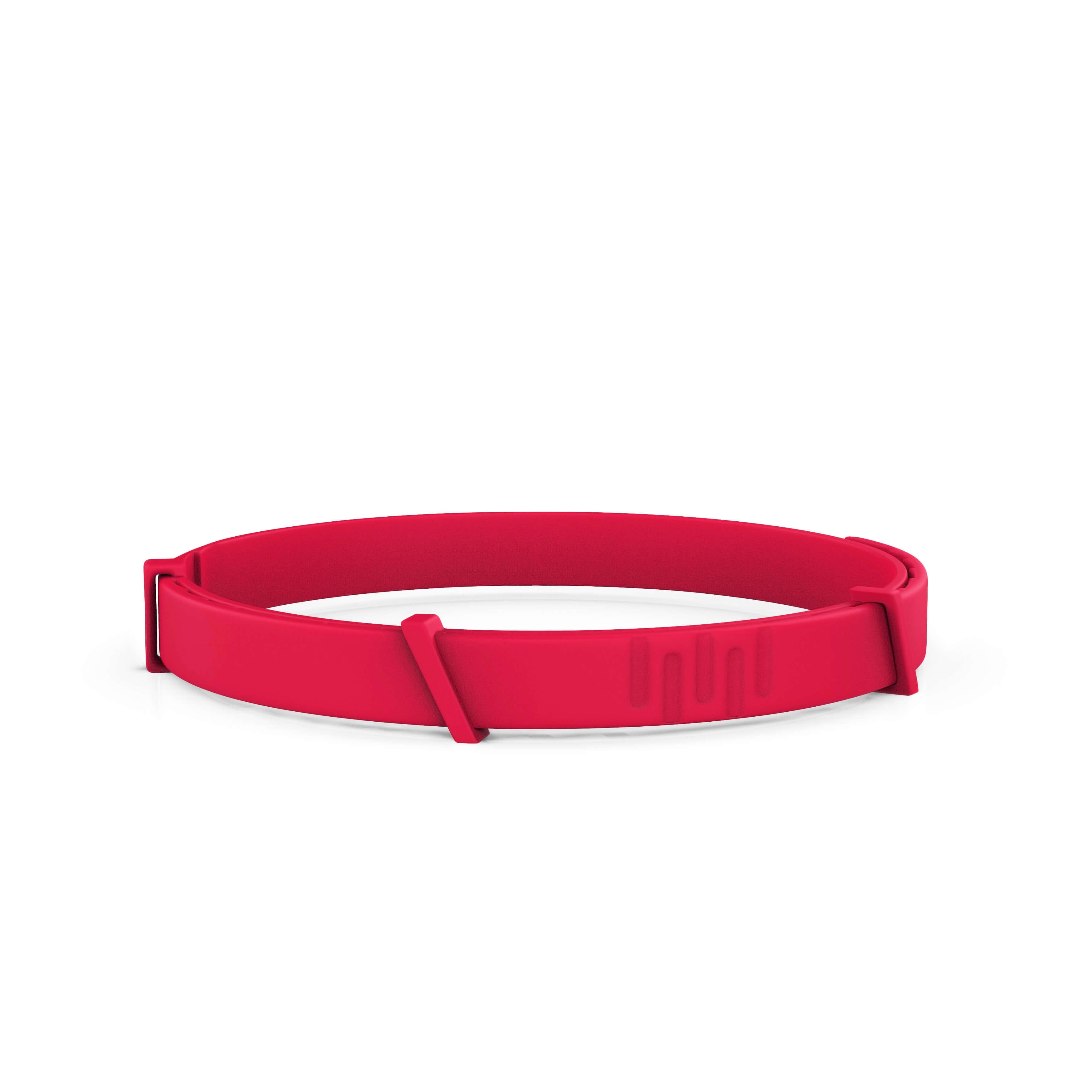 8 Months All Natural Flea and Tick Collar for Dogs
