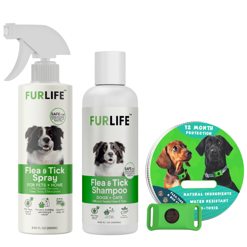 Full Protection Bundle