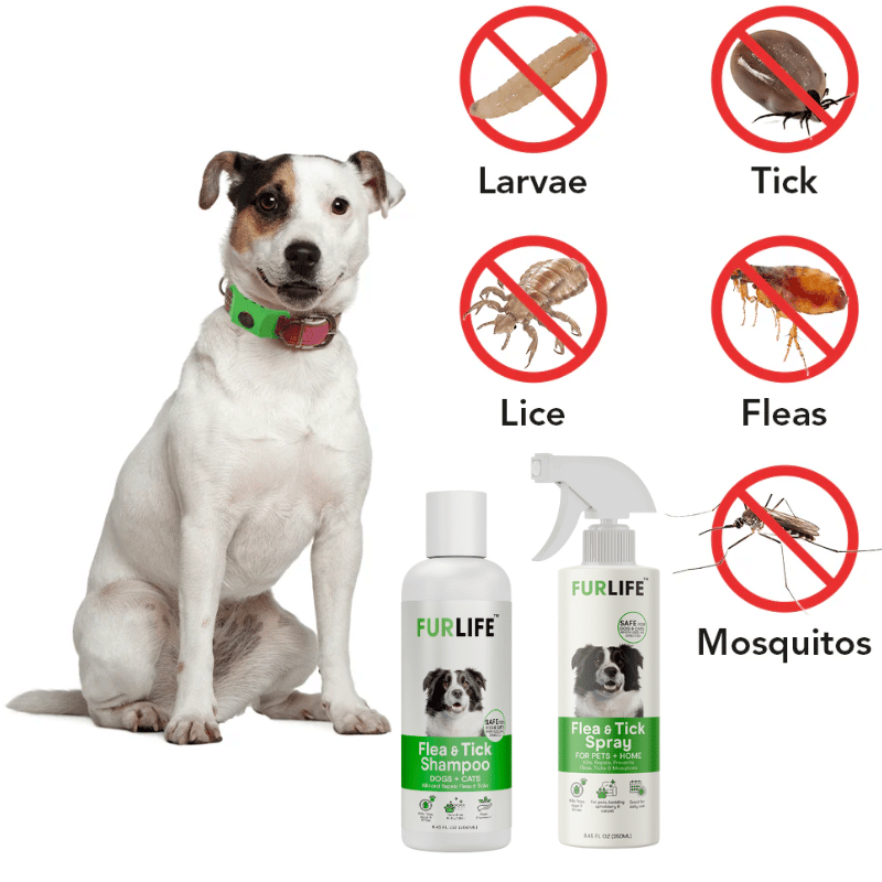 Full Protection Bundle