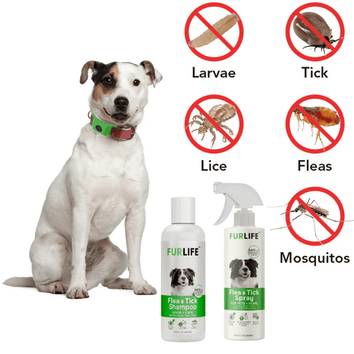 Full Protection Bundle